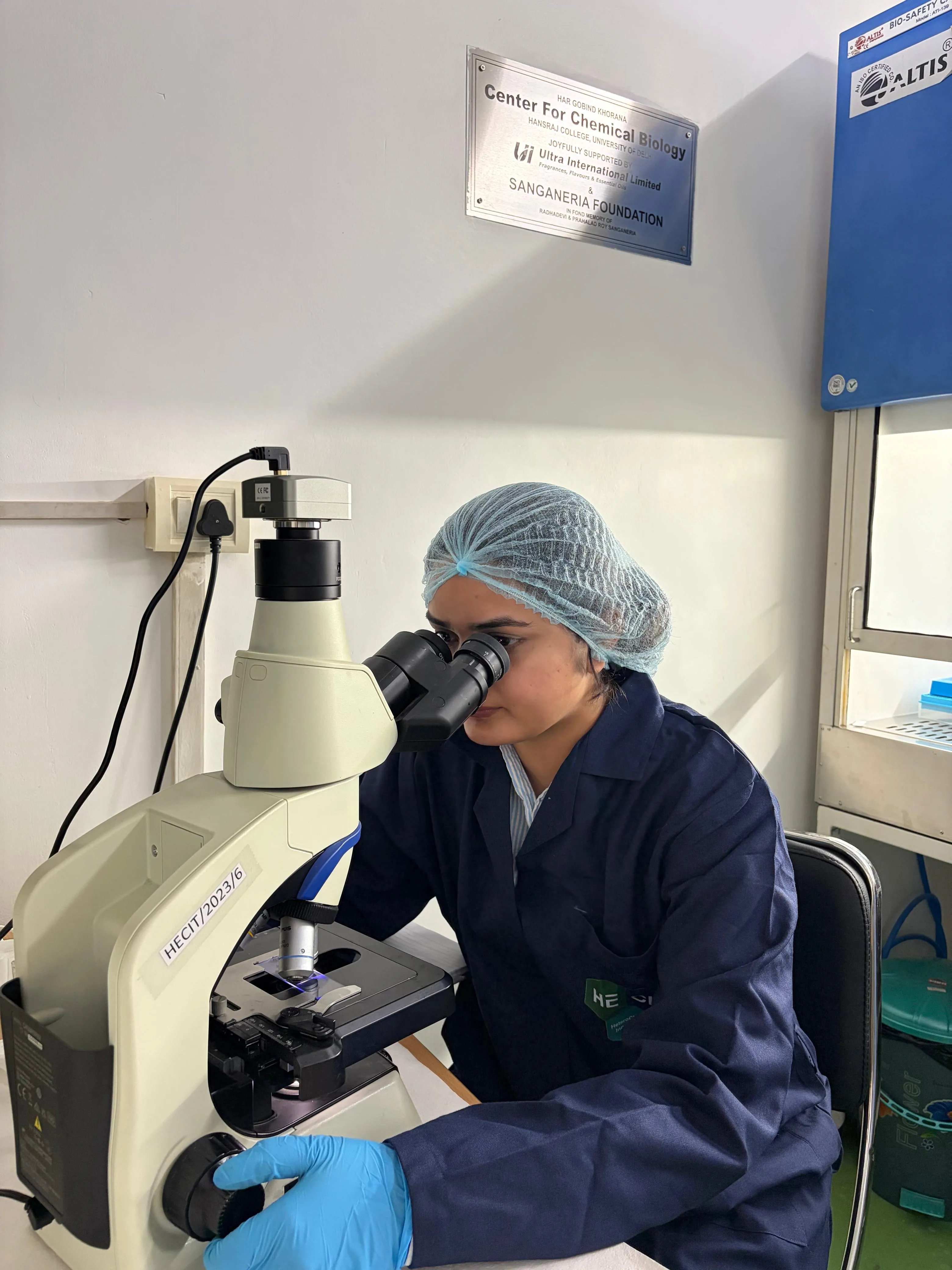Lab Activity 1